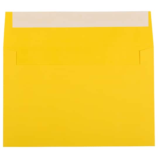 JAM Paper 6" x 9" Colored Peel & Seal Invitation Envelopes